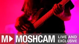 Opeth - Nepenthe | Live in Sydney | Moshcam