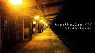 Anesthetize- Porcupine Tree (52 Musician Global Collab Cover)