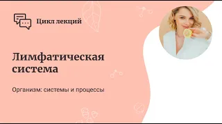 Лимфатическая система. Мальцева Марина