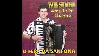 Wilsinho o Fera da Sanfona -  ÁLBUM COMPLETO - Arrasta Pé Goiano - VOLUME 1
