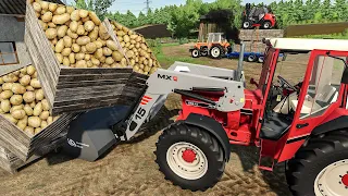 Crate potatoes ! Small tractors and Forklift loader | Farm work | Farming Simulator 22