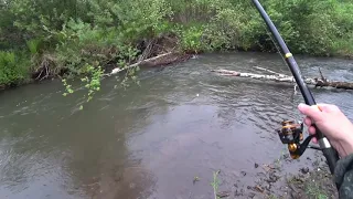 Разведка Таёжной Реки/ Хариус НАЧАЛ Брать/ Ловим на УДОЧКУ!!!