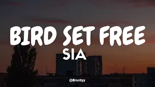 Sia - Bird Set Free (Tradução/Legendado) PT-BR