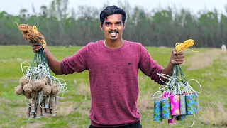 Dangerous Wala Ever | ஆபத்தான Wala V 2.0 | Dangerous Fireworks Testing | Danger Fireworks