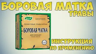 Боровая матка трава инструкция. Как правильно заваривать и пить при заболеваниях мочеполовой системы