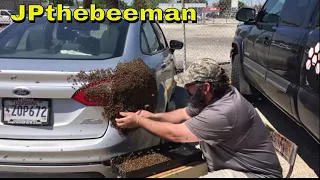 Huge Honey Bee Swarm On Young Lady's Vehicle