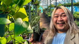 OC’s Top Rated Houseplant Nursery is STOCKED