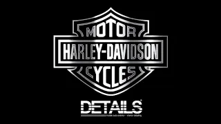 How to detail a motorcycle (Harley Davidson) | DETAILS