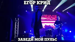 Егор Крид – Заведи мой пульс | Нижний Новгород