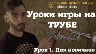 Как научиться играть на трубе самостоятельно. Уроки трубы для новичков и с нуля.