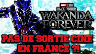 BLACK PANTHER 2 : PAS DE SORTIE CINE EN FRANCE ?!