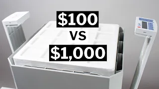 $100 vs $1000 Air Purifier - Winix vs IQAir