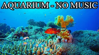 Coral Reef Tank Underwater Ambience | AQUARIUM NO Music NO Ads - 12 Hours of Fish Tank Sounds