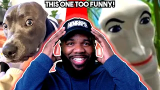 Funny memes you can watch on your iPhone 14  - NemRaps Try Not To Laugh 330