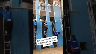 Professional Ladder Climbing