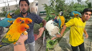 Pahli Dafa Itna Sara Tamed Parrots Dakha 😱