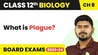 What is Plague - Human Health and Disease | Class 12 Biology (2022-23)