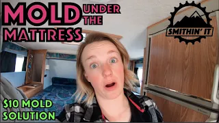 Truck Camper Mattress Mold Solution! (Under $10)