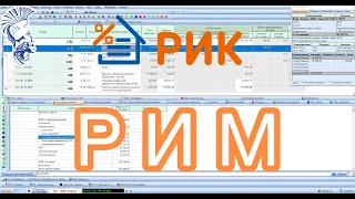 Реализация РИМ в формате ПК РИК