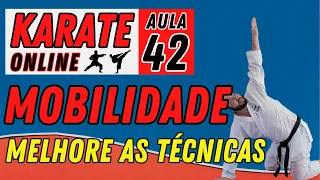 KARATE ONLINE | AULA 42 - MOBILIDADE ARTICULAR - Exercícios para melhorar os chutes e o corpo todo