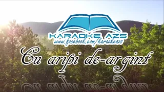 Cu aripi de-argint | Karaoke AZS (Instrumental)