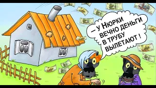 ✔️Всех денег никогда не заработаешь, но всегда потратишь... Анекдоты с Волком.#ВГостяхУВолка