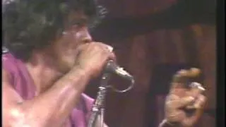 James Brown - Live - The Godfather - Papas got a brand new bag