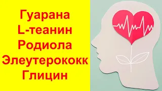 Добавки для улучшения работы мозга: гуарана, L-теанин, родиола, элеутерококк, глицин