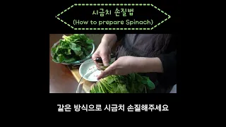 누구나 쉽게 시금치 손질할 수 있다고요 | 깨알같이 시금치 세척하는 법 | How to clean and eat spinach