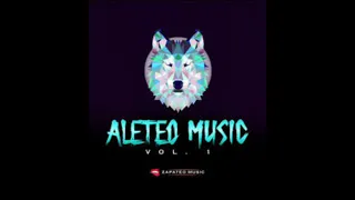 Aleteo, Guaracha, Zapateo (2019)