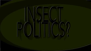 Insect Politics - Kinetic Typography - The Fly (1986)