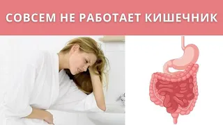 Не работает кишечник. Не сходить в туалет без слабительных! Запор. Что делать?