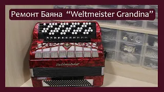 Трудовые будни / Ремонт Баяна "Weltmeister Grandina"