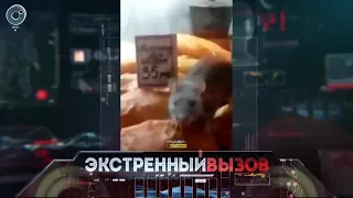 Экстренный вызов: 02 октября 2018