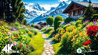 Grindelwald Switzerland 🇨🇭 Swiss Village Tour 4K 🌞 Most Beautiful Villages in Switzerland 🚠