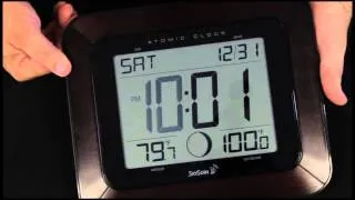 SkyScan 88901 Atomic Clock