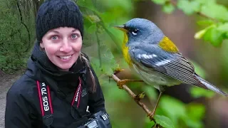 Taking Pictures of Birds IN THE RAIN