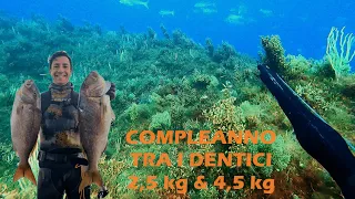 Compleanno tra i Dentici! 2,5kg e 4,5kg al tramonto