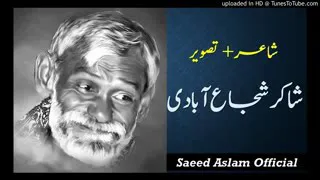 punjabi poetry whatsapp status | Saeed Aslam poetry | Sad poetry