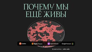 Очень старая война: откуда взялись антибиотики | Подкаст Почему мы ещё живы