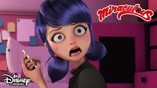 Miraculous | Season 2 | New Episodes Weekdays at 16:25! | Official Disney Channel Africa