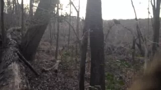 Tannerite vs Coyote Den (part 1)