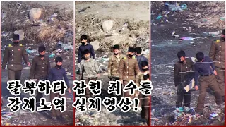 탈북하다 잡힌 북한비법월경집결소 죄수들의 강제노역 실제영상! [오늘의 북한]Actual footage of North Korean defectors caught in the act
