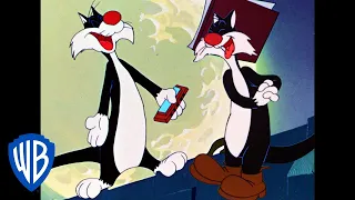Looney Tunes | Back Alley Oproar | Classic Cartoon | WB Kids