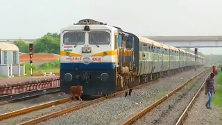 Train hit a cow 😭🐄|train hits animal| train accident | cow hit