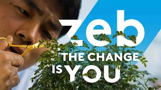 ZEB // The Change is You