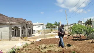 Planting the grass (front yard landscaping)