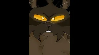 😶 #warriorcats