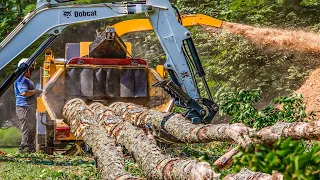 Amazing Powerful Wood Chipper Machines in Action, Fastest Logging Truck & Tree Shredder Machines