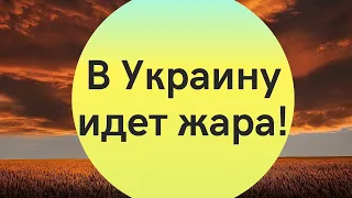 20 градусов "жары" и грозы: прогноз погоды в Украине на уик-энд